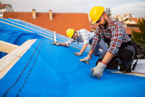 Best Metal Roofing Contractor  in Anchorage, AK