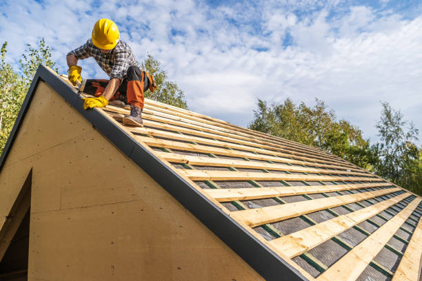 Best Metal Roofing Contractor  in Anchorage, AK